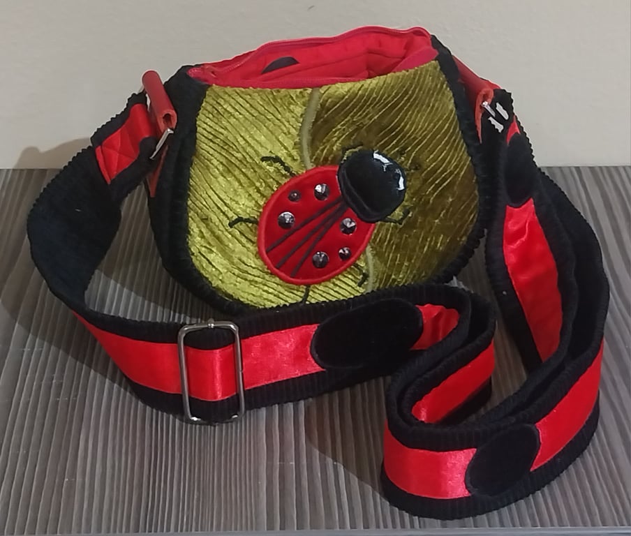 The mini lady bird handbag