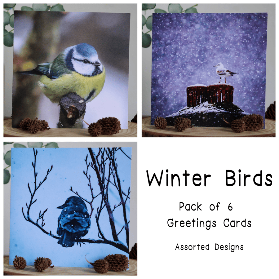 Winter Birds - Pack of 6 Christmas Cards - Assorted Designs