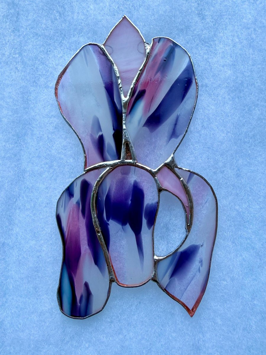 Stained glass iris - purple, pink and white splashed petals