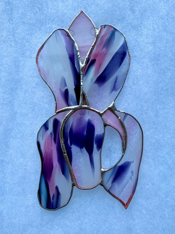 Stained glass iris - purple, pink and white splashed petals