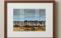 New Forest Wall Art Prints