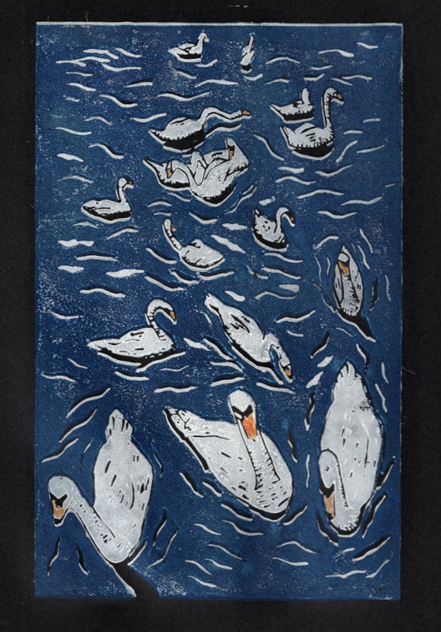 Swans Swimming. An Art Print, Great Gift for Bird Lovers.