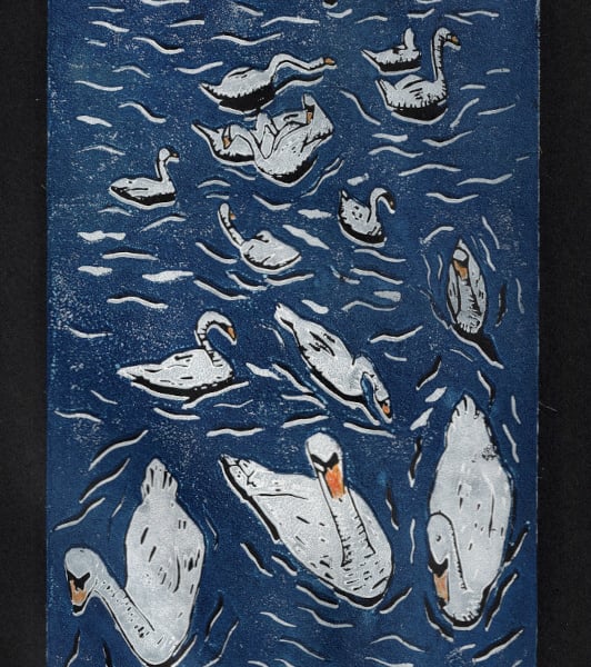Swans Swimming. An Art Print, Great Gift for Bird Lovers.