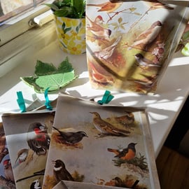 Bird Illustration Gift Bags X5 pack
