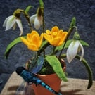 Needle felted Dragonfly perched on a terracotta pot full of snowdrops and crocus
