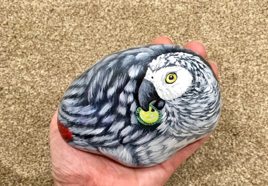 African grey parrot painted pebble garden rock art pet Portrait gift
