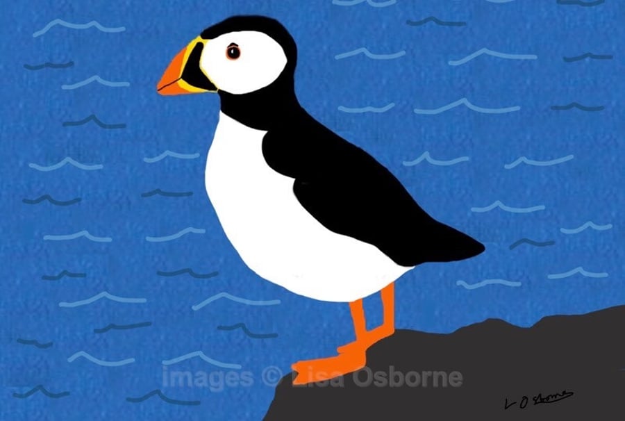 Puffin - signed print of bird from digital illustration with mount