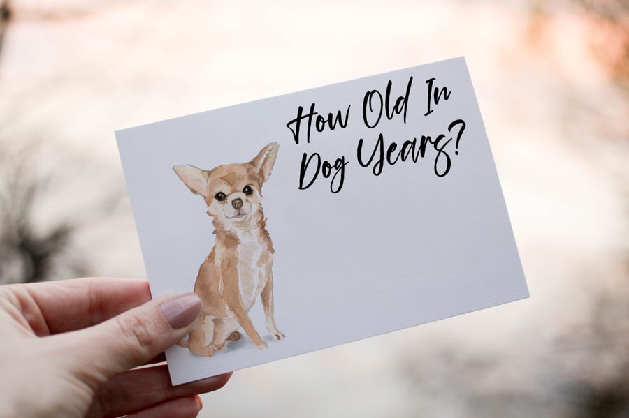 Chihuahua Dog Birthday Card, Dog Birthday Card