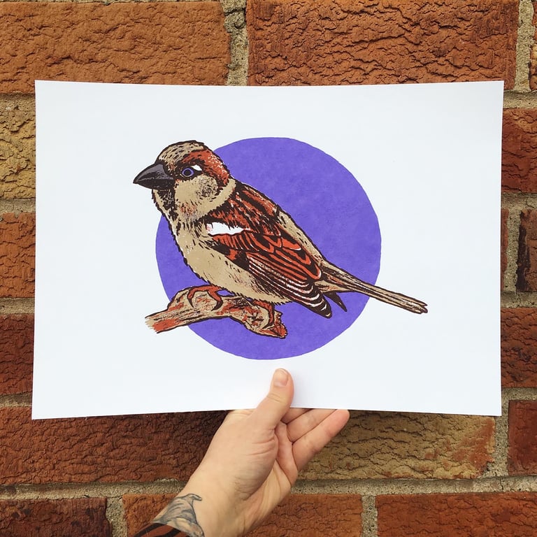 Sparrow, 4-colour screen print