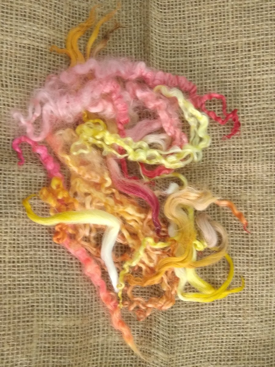 Sunset Theme Mix, 10g mixed yellows, oranges and red, mixed breeds curly sheep