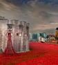 Tower Of London Poppy Red Poppies Photograph Print