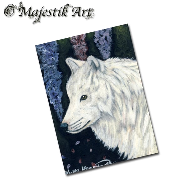 Archival ACEO White Wolf Print 'Blossom' By V Kenworthy