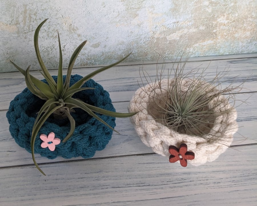 Tiny pot, trinket dish, air plant display, crochet container, storage pot