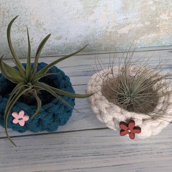 Tiny pot, trinket dish, air plant display, crochet container, storage pot