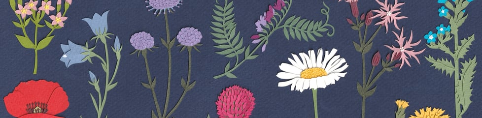 Naomi Harvey Paper Art