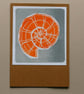 Orange Ammonite Card - Image 7