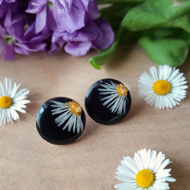 Daisy Resin Studs Botanical Resin Earrings Real Flower 