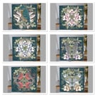 6 Mixed Natural World Garden birds (dark background) 