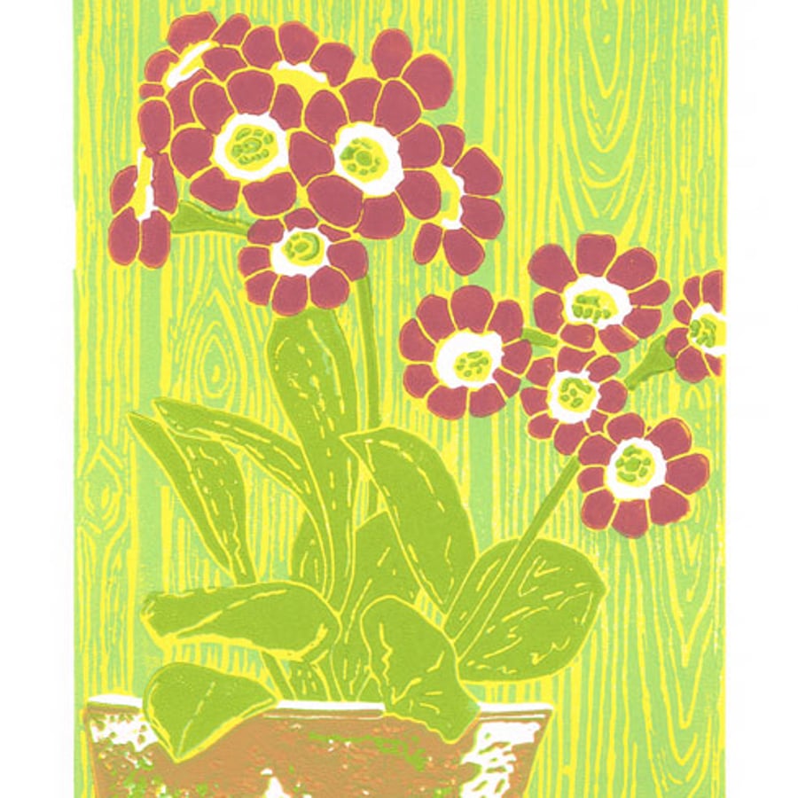 Flower - Auricula 'Autumn Raspberry' original limited edition linocut print.