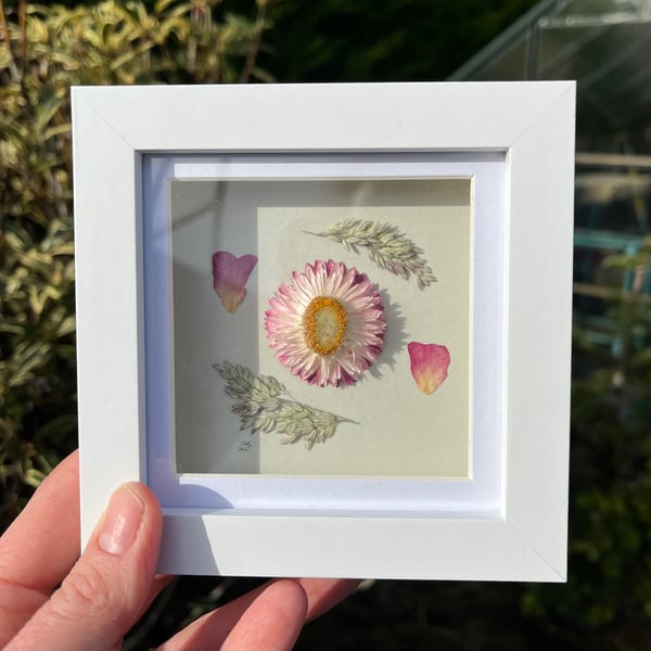 Pressed Rose Petals, Dried Strawflower, Framed Art, Mother’s Day, birthday gift