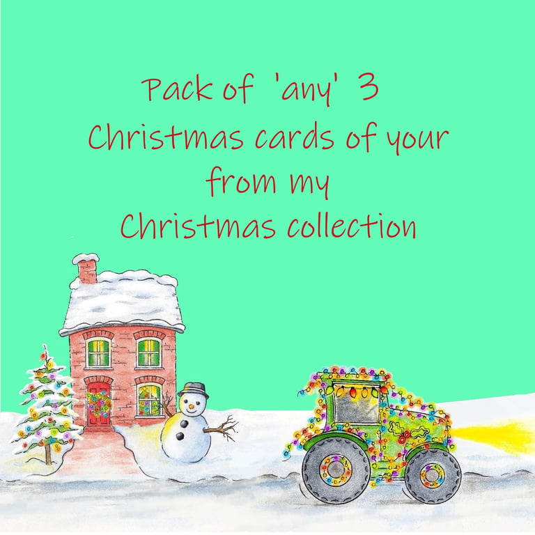 Christmas Cards - Pack of  'any' 3 Christmas Cards of your choosing