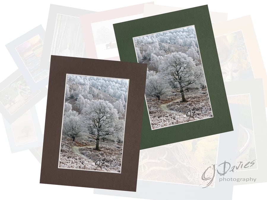 CJ114 - Christmas card: Frosty trees, Older Hill, West Sussex