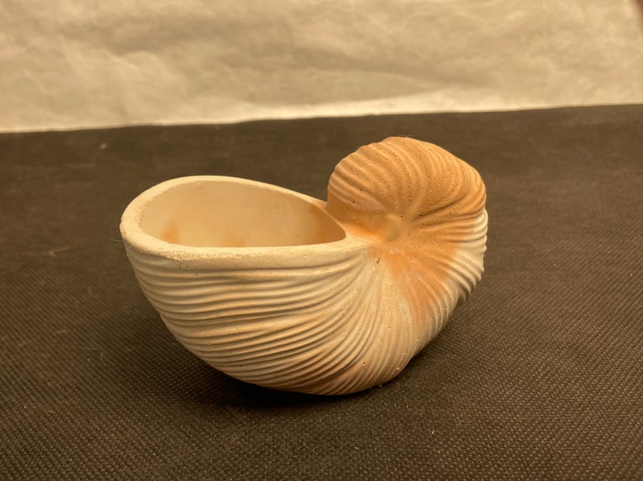 Conch Shell Vase Sea Ornament , Bathroom Living Room Office Nautical Home Decor 