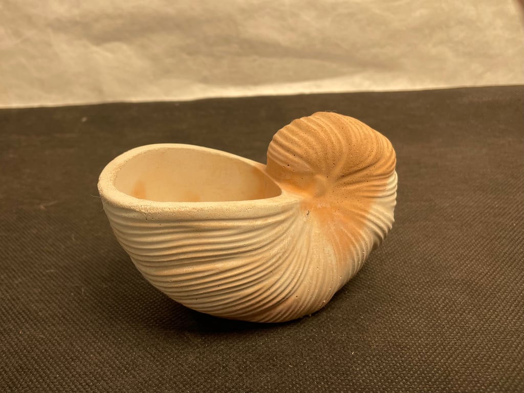 Conch Shell Vase Sea Ornament , Bathroom Living Room Office Nautical Home Decor 