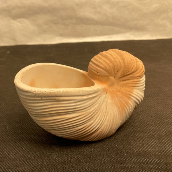 Conch Shell Vase Sea Ornament , Bathroom Living Room Office Nautical Home Decor 