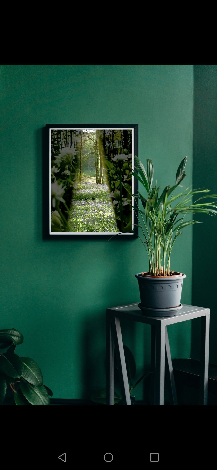 The Window Framed Print A2