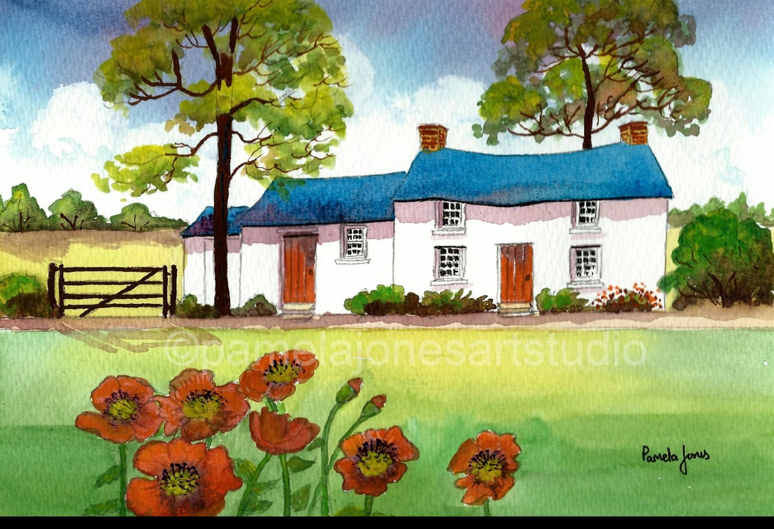 Country Cottage with Poppies, Carmarthenshire, South Wales, in 20 x 16'' Mount