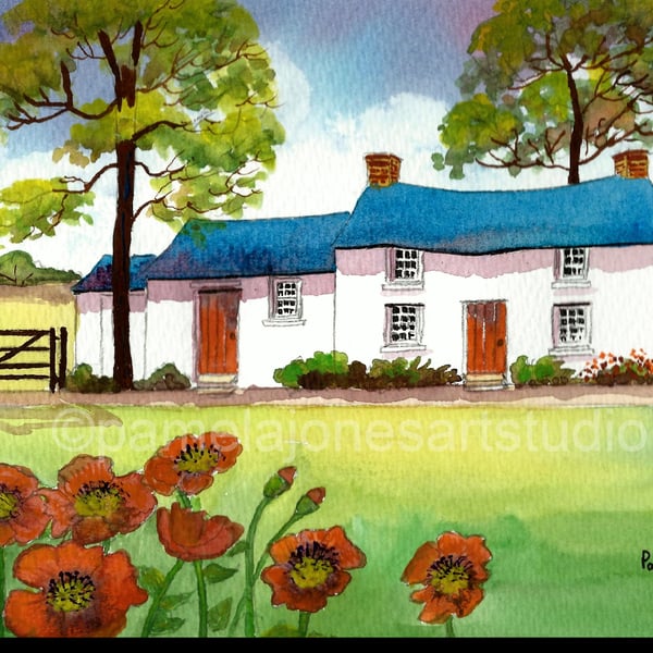 Country Cottage with Poppies, Carmarthenshire, South Wales