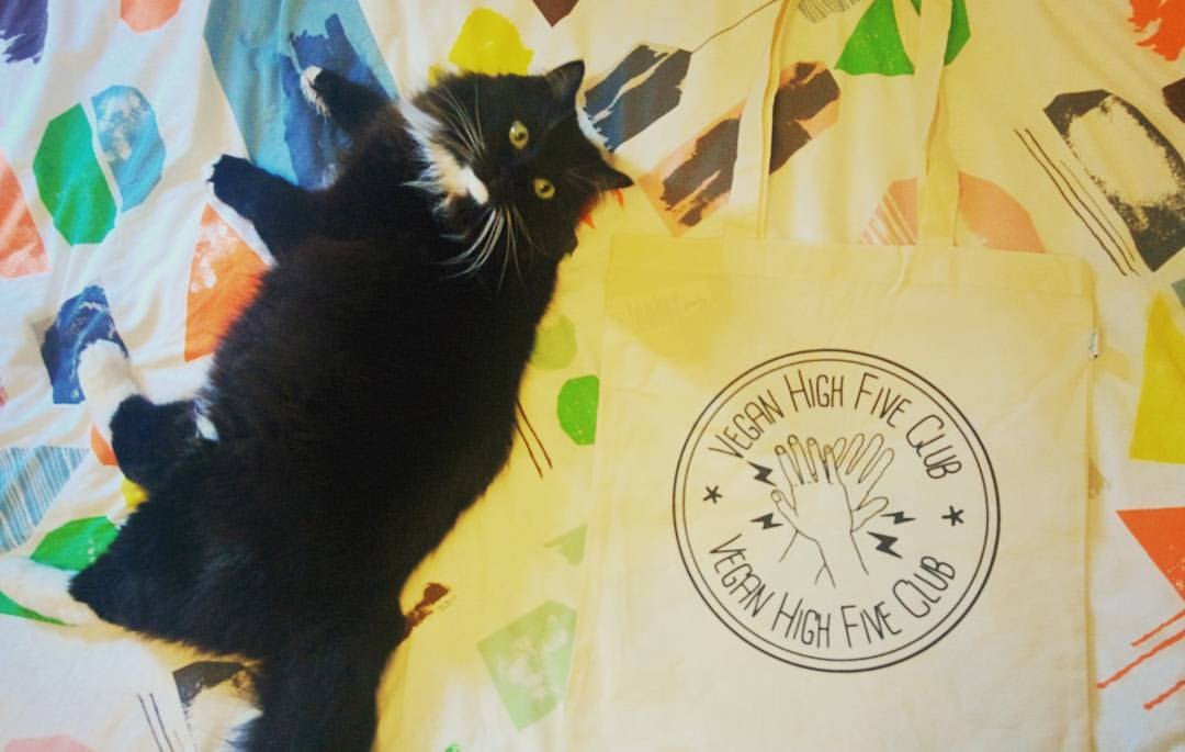 Vegan High Five Club