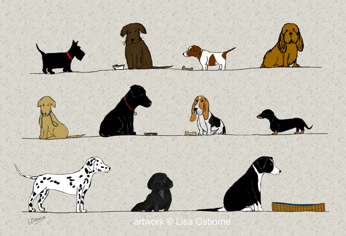 Dogs - print - pets