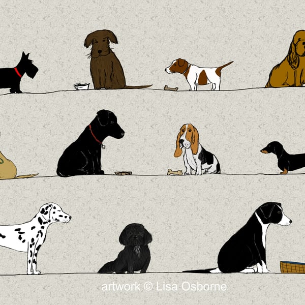 Dogs - print - pets