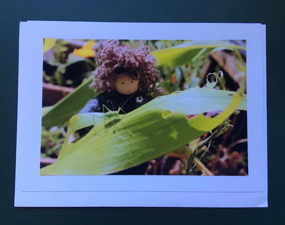 The Grasshopper Photography Card 