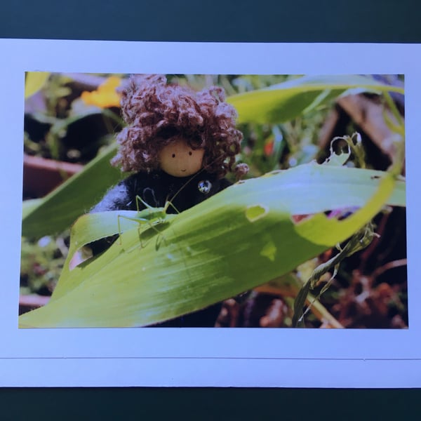 The Grasshopper Photography Card 