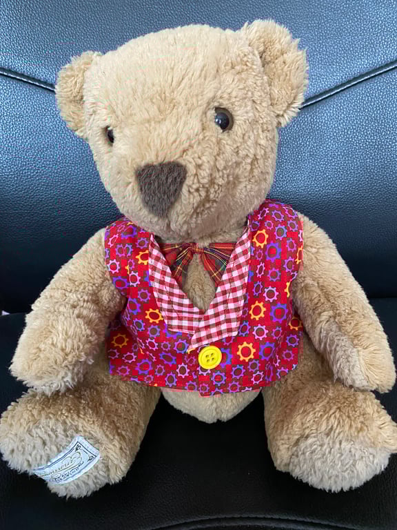 Red Cogs Large Teddy Waistcoat 