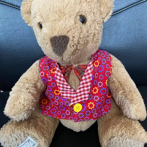 Red Cogs Large Teddy Waistcoat 