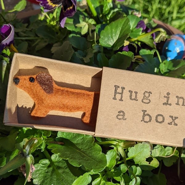 Sausage dog, dachshund, dog gift, felt dog, hug in a box 