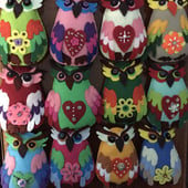 The Crafty Owl Lady