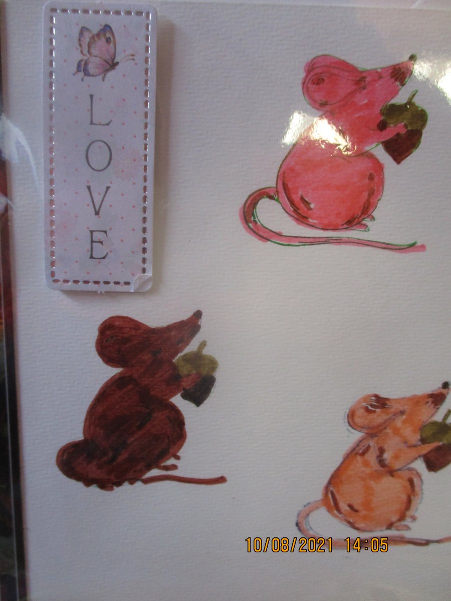 Three Mice with Acorns Card