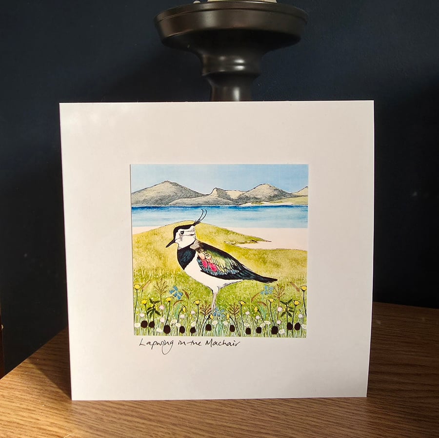 Lapwing in the Machair handmade Greetings Card 