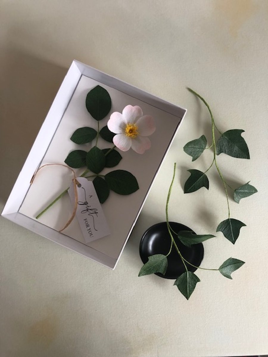 Paper flower gift box - wild rose