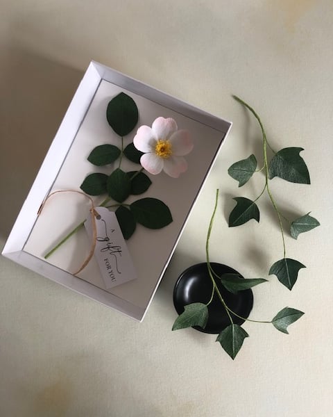 Paper wild rose gift box
