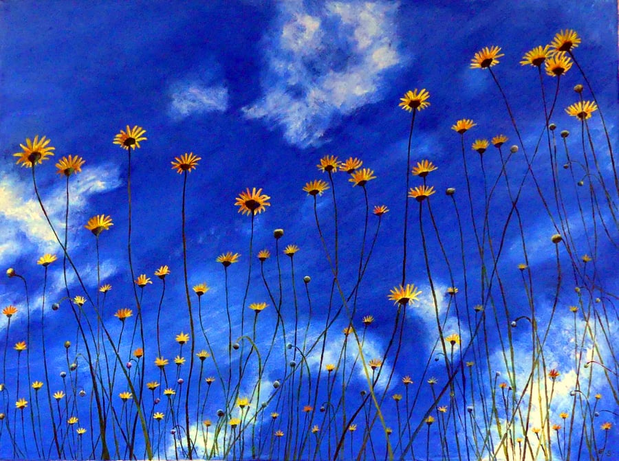 Daisy Flowers Skyscape Oil Painting 