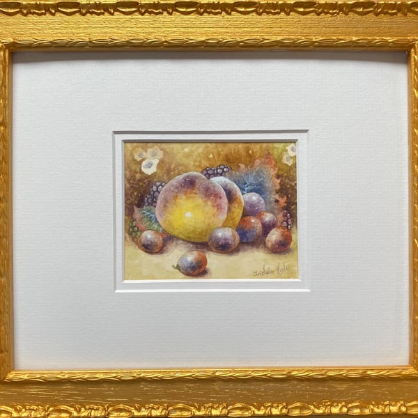 Worcester Fruit . Framed original watercolour painting by Christopher Hughes 