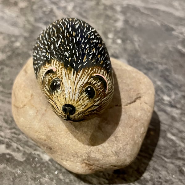 Hedgehog hand painted pebble garden rock art stone pet 