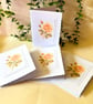 Rose A6 Note Cards Set of 4, June Birth Flower Botanical Stationery