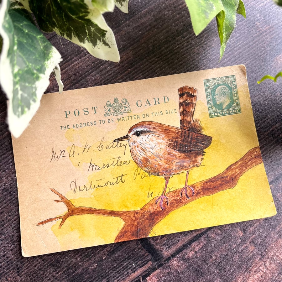 Ink and acrylic painting of wren on vintage postcard, gift for bird lover